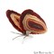 Agate Slice Butterfly, Natural Agate Décor, Butterfly Wing Home Décor, Agate Geode, Natural Gemstone Butterfly